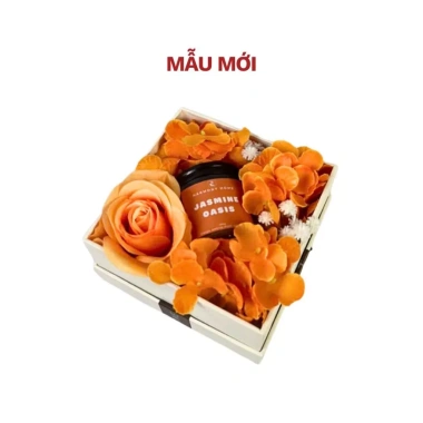 Set Nến Thơm Jasmine Oasis A - Quà Tặng Nữ Harmony Home, Sinh Nhật, Valentine 14/2, 8/3 Giá chỉ 300.000