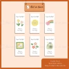 Set Nhãn Dán Decal Cắt Bế Niên Phong Beyond Grateful Cute Đáng Yêu - 10.500 VND