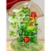 Set phụ kiện Trang trí Lan Hồ Điệp – Keo nến + Đế, dùng cho tháp bánh, bia, nước ngọt, lễ Tết – Giá chỉ 18.000đ 9