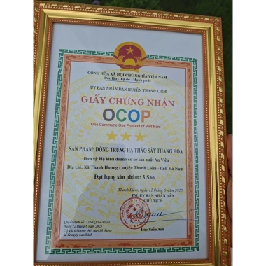 Sét Quà 2 Hũ 20g Nấm Đông Trùng Hạ Sấy Thăng Hoa – Quà Biếu Tặng Sức Khoẻ, Giá 395.000 VNĐ – AN VIÊN HÀ NAM
