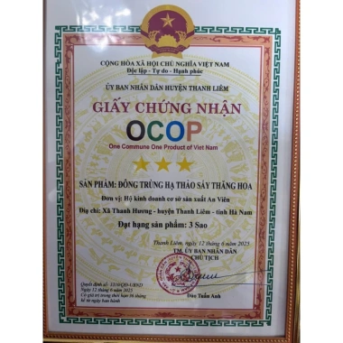 Set Quà Đông Trùng Hạ Thảo 50g Loại 1 + Táo Đỏ Kỷ Tử – Hộp 3 Món, Túi Đựng, 950k 8