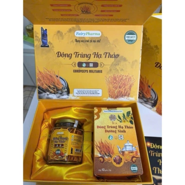 Set quà Đông Trùng Hạ Thảo & Trà Fairy Pharma - Giá ưu đãi 480k, Viện HL 5