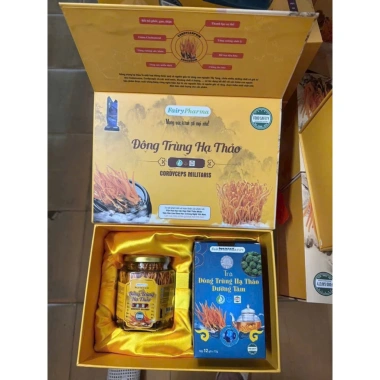 Set quà Đông Trùng Hạ Thảo & Trà Fairy Pharma - Giá ưu đãi 480k, Viện HL 7