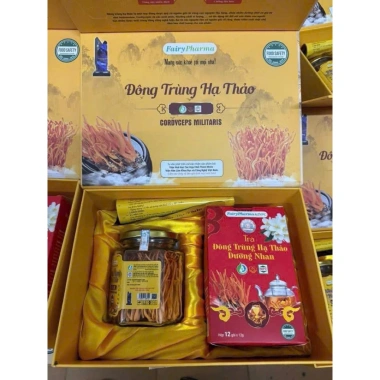 Set quà Đông Trùng Hạ Thảo & Trà Fairy Pharma - Giá ưu đãi 480k, Viện HL 8