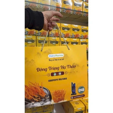 Set quà Đông Trùng Hạ Thảo & Trà Fairy Pharma - Giá ưu đãi 480k, Viện HL 9