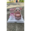 Set Quà Gấu Hoa Tiền Đáng Yêu – Giá 179k, Quà Sinh Nhật, 20/10, 8/3, 14/2, Noel 6
