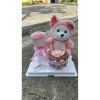 Set Quà Gấu Hoa Tiền Đáng Yêu – Giá 179k, Quà Sinh Nhật, 20/10, 8/3, 14/2, Noel 7