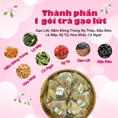 Set quà sức khỏe 8/3-14/2 - Hộp trà gạo lứt, cà gai leo, túi lọc - Giá 65.000 VND 6