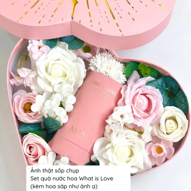 Set Quà Tặng 8/3 Nước Hoa M.O.I What Is Love 50ml và Hộp Hoa Sáp Trái Tim - Giá 899.000