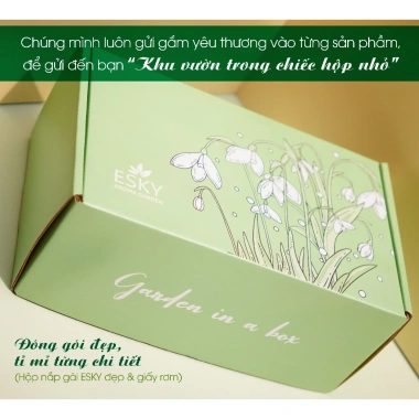Set Quà Tặng Cao Cấp ESKY Aroma Garden 50ml Tinh Dầu Cắm Que Cho Sinh Nhật Nam Nữ 3 Set Quà Tặng Cao Cấp ESKY Aroma Garden 50ml Tinh Dầu Cắm Que Cho Sinh Nhật Nam Nữ 3