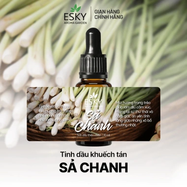 Set Quà Tặng Cao Cấp ESKY Aroma Garden 50ml Tinh Dầu Cắm Que Cho Sinh Nhật Nam Nữ 19 Set Quà Tặng Cao Cấp ESKY Aroma Garden 50ml Tinh Dầu Cắm Que Cho Sinh Nhật Nam Nữ 19