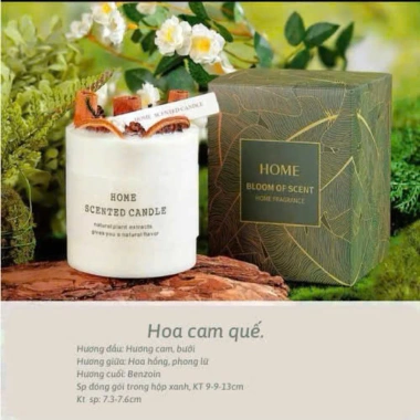 Set Quà Tặng Handmade ART OF THE FOREST - Túi Nến Thơm, Hoa Khô Trang Trí Tự Nhiên 10