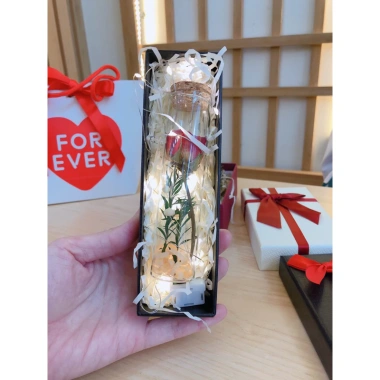 Set Quà Tặng Hoa Hồng Thủy Tinh Lãng Mạn Cho Bạn Gái Ngày 20/10, 8/3, 14/2 - Giá Ưu Đãi 64k