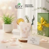 Set Quà Tặng Ly Đá Khuếch Tán Tinh Dầu 12 Mùi ESKY AROMA GARDEN – Chỉ 319.000đ