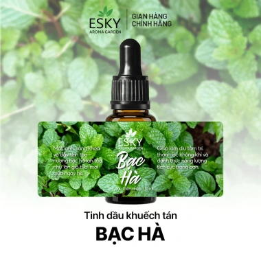Set Quà Tặng Ly Đá Khuếch Tán Tinh Dầu 12 Mùi ESKY AROMA GARDEN – Chỉ 319.000đ 12 Set Quà Tặng Ly Đá Khuếch Tán Tinh Dầu 12 Mùi ESKY AROMA GARDEN – Chỉ 319.000đ 12