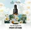 Set Quà Tặng Ly Đá Khuếch Tán Tinh Dầu 12 Mùi ESKY AROMA GARDEN – Chỉ 319.000đ 21