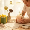 Set Quà Tặng Ly Đá Khuếch Tán Tinh Dầu 12 Mùi - Quà Sinh Nhật Nam Nữ 319.000 VND 4