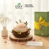 Set Quà Tặng Nam Nữ Tinh Dầu Đá Khuếch Tán Tổ Chim ESKY AROMA GARDEN – Quà Sinh Nhật Valentine Tết 399.000₫