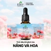 Set Quà Tặng Nam Nữ Tinh Dầu Đá Khuếch Tán Tổ Chim ESKY AROMA GARDEN – Quà Sinh Nhật Valentine Tết 399.000₫ 20