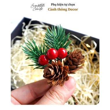 Set quà tặng nến thơm EverMirth 3 lọ cao cấp - Quà sinh nhật, 8/3, hương thiên nhiên - Giá ưu đãi 454.410 VND 5