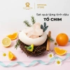 Set Quà Tặng Nữ - Tổ Chim Đá Muối Khuếch Tán Tinh Dầu, Thơm Phòng, Sinh Nhật 395k