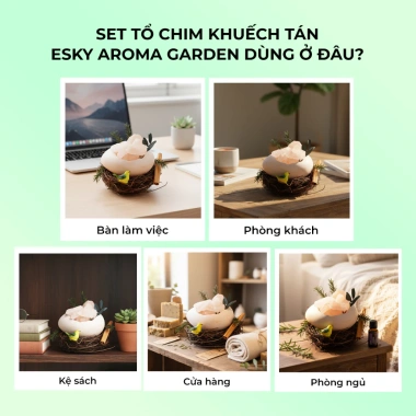 Set Quà Tặng Nữ - Tổ Chim Đá Muối Khuếch Tán Tinh Dầu, Thơm Phòng, Sinh Nhật 395k 5 Set Quà Tặng Nữ - Tổ Chim Đá Muối Khuếch Tán Tinh Dầu, Thơm Phòng, Sinh Nhật 395k 5