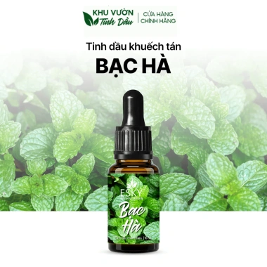 Set Quà Tặng Nữ - Tổ Chim Đá Muối Khuếch Tán Tinh Dầu, Thơm Phòng, Sinh Nhật 395k 10 Set Quà Tặng Nữ - Tổ Chim Đá Muối Khuếch Tán Tinh Dầu, Thơm Phòng, Sinh Nhật 395k 10