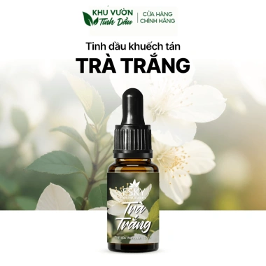 Set Quà Tặng Nữ - Tổ Chim Đá Muối Khuếch Tán Tinh Dầu, Thơm Phòng, Sinh Nhật 395k 14 Set Quà Tặng Nữ - Tổ Chim Đá Muối Khuếch Tán Tinh Dầu, Thơm Phòng, Sinh Nhật 395k 14