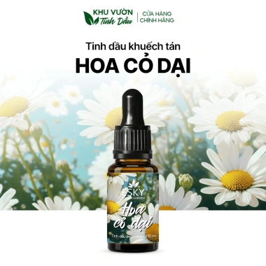 Set Quà Tặng Nữ - Tổ Chim Đá Muối Khuếch Tán Tinh Dầu, Thơm Phòng, Sinh Nhật 395k 17 Set Quà Tặng Nữ - Tổ Chim Đá Muối Khuếch Tán Tinh Dầu, Thơm Phòng, Sinh Nhật 395k 17