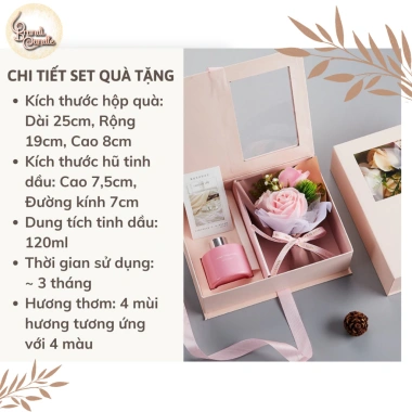 Set quà tặng tinh dầu thơm phòng và bó hoa sáp 4 màu sang trọng lịch sự, giảm giá còn 95.000 VND 5
