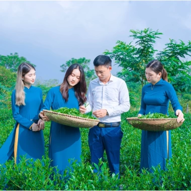Set Quà Tặng Trà Tôm Nõn Thượng Hạng Trà Xanh Đặc Sản Thái Nguyên Giá ưu đãi 324.000đ 7