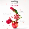 Set quà tặng Xmas Wellbeing Roger&Gallet – Nước hoa 100ml và Tinh Dầu Khếch Tán Hương quả mọng, giá 1.105.000₫ 6