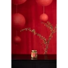 Set quà Tết 2.025 Nhụy Hoa Nghệ Tây Saffron Jahan 0.5Gr - Giá ưu đãi 420.000 VNĐ 6