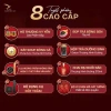 Set quà Tết 2.026 Kim Mã Cát Tường CiCi Yến - Hộp sang trọng, giá ưu đãi 1.32tr 6
