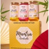 Set Quà Tết 28 Lon Kombucha Lên Men Mix Vị - Combo Giá ưu đãi 888.000₫ 4