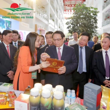 Set Quà Tết Đông Trùng Hạ Thảo 3 viên + Rượu 350ml + Trà Atiso Dalanewfarm - 490k