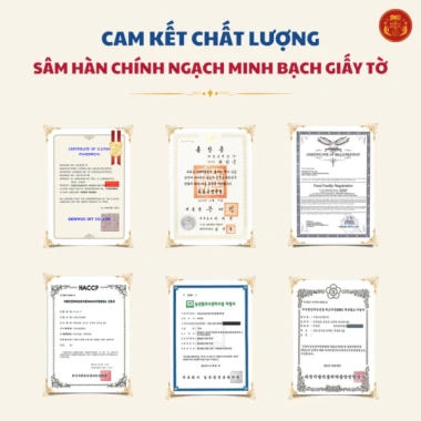 Sét Quà Tết Hồng Sâm Deadong - Giá ưu đãi 735k, Quà Đối Tác, Người Thân, Bạn Bè 5 Sét Quà Tết Hồng Sâm Deadong - Giá ưu đãi 735k, Quà Đối Tác, Người Thân, Bạn Bè 5