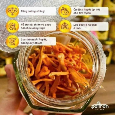 Set quà Tết Nhụy Hoa Nghệ Tây Saffron 0.5g, Đông trùng, Trà táo đỏ - Giá chỉ 250k