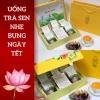Set Quà Tết SACHSTEA - Trà Sen Tây Hồ Hữu Cơ USDA Cao Cấp, Hộp Sang Trọng, Giá ưu đãi 485k 4