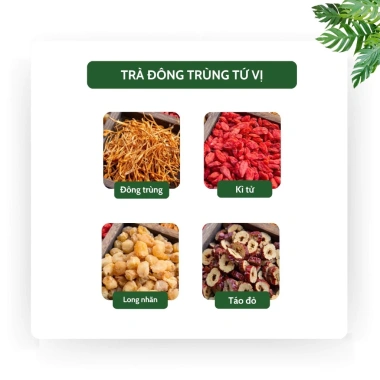 Set quà Tết Trà Bổ Huyết và Trà Đông Trùng 4 vị, hỗ trợ bổ khí, tăng sinh lực - Tiệm Trà Việt