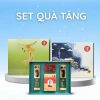 Set Sâm Quà Tết: Quà Sức Khỏe Trọn Gói, Giảm Giá Đặc Biệt 575k
