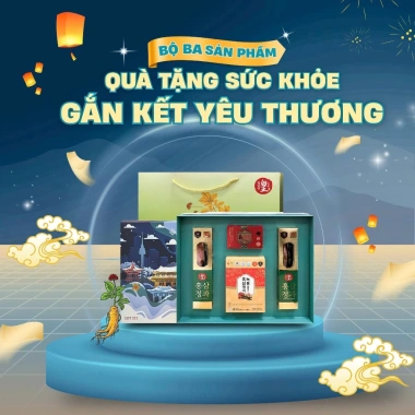 Set Sâm Quà Tết: Quà Sức Khỏe Trọn Gói, Giảm Giá Đặc Biệt 575k 2