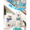 Set sinh nhật thú cưng chó mèo - mũ, yếm, banner, bóng bay, nơ cổ, tiệc ngay 3