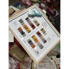 Set Sơn 24 Màu Verygood Nail Giá Rẻ 550k Bảo Hành 12 Tháng Độ Bám Cao 4