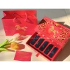 Set Son Năm Ngựa 2.026 Rouge Velvet Mini 5 Thỏi 1.5gr kèm Túi Đỏ 1.186.800 VND