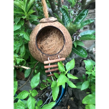Set tổ chim, sóc, bò sát, chuột bằng gáo dừa và sơ dừa giữ ấm, giá ưu đãi 34.5k 3 Set tổ chim, sóc, bò sát, chuột bằng gáo dừa và sơ dừa giữ ấm, giá ưu đãi 34.5k 3