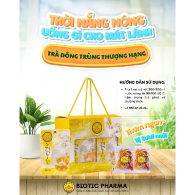 Sét trà đông trùng ngũ vị thượng hạng Viện Hàn Lâm KHCN set 2 hộp giá ưu đãi 380.000 VND