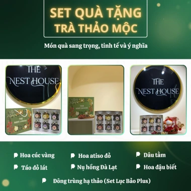 Set Trà Hoa Thảo Mộc 6 vị - Quà tặng người thân, hộp túi The Nest House, 286.000 VND 5