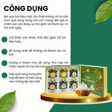 Set Trà Hoa Thảo Mộc 6 vị - Quà tặng người thân, hộp túi The Nest House, 286.000 VND 6