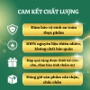 Set Trà Hoa Thảo Mộc 6 vị - Quà tặng người thân, hộp túi The Nest House, 286.000 VND 8